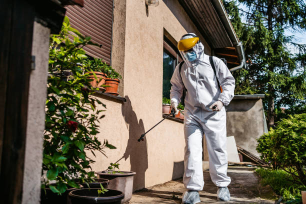 Professional Pest Control in Port Barre, LA