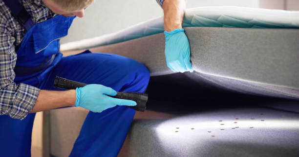 Best Residential Pest Control  in Port Barre, LA