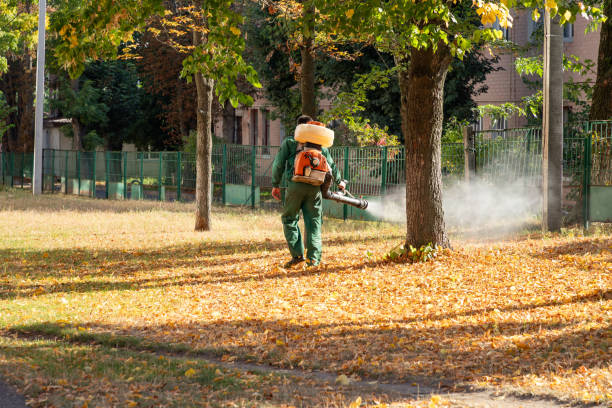 Best Pest Prevention Services  in Port Barre, LA