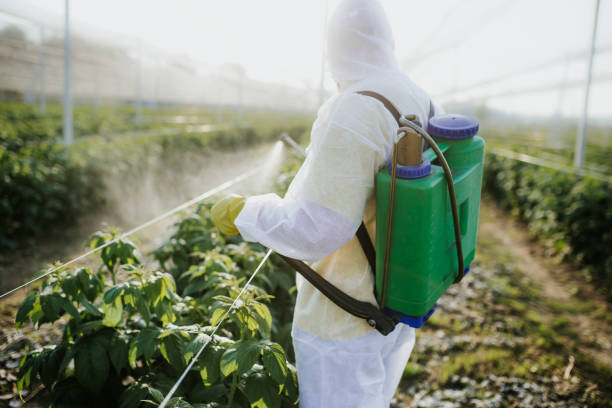Best Pest Control Near Me  in Port Barre, LA